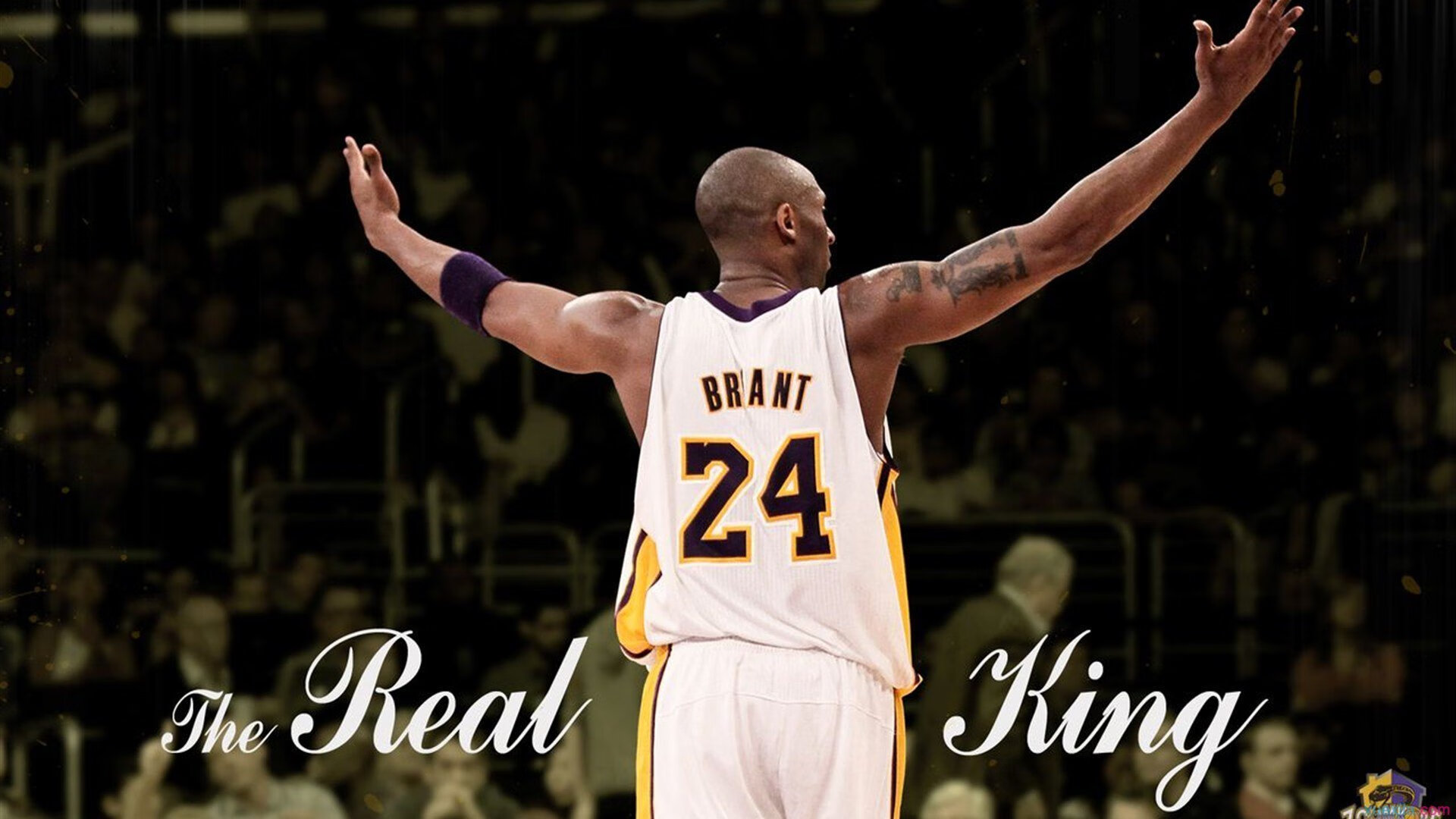 激烈对决:强强对话,胜利者唯有实力,激烈的对打是什么意思